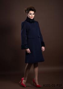 A101-01-P1F.jpg