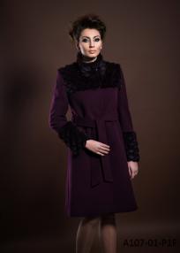 A107-01-P1F.jpg