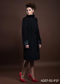 A207-01-P1F.jpg