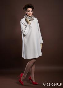 A429-01-P1F.jpg