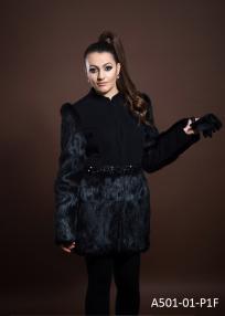 A501-01-P1F.jpg