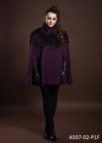 A507-02-P1F.jpg