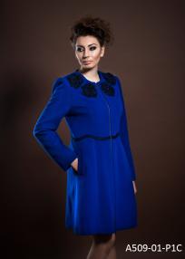 A509-01-P1C.jpg