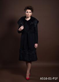 A516-01-P1F.jpg