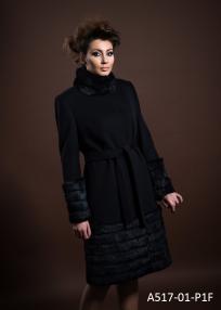 A517-01-P1.jpg