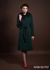 A536-02-P1F.jpg