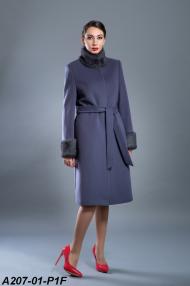 A207-01-P1F.jpg