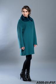 A505-01-P1F.jpg