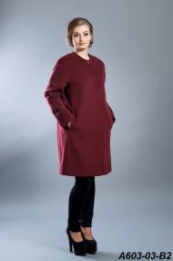 A603-03-B2.jpg