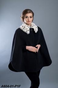 A604-01-P1F.jpg
