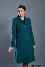 A607-01-P1.jpg