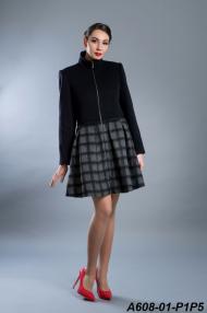 A608-01-P1P5.jpg