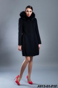 A613-01-P1F.jpg