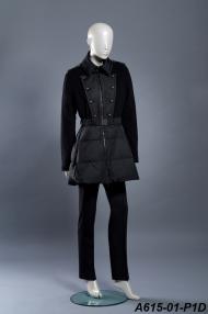 A615-01-P1D.jpg