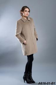 A616-01-B1.jpg