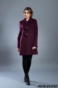 A616-01-P1F.jpg
