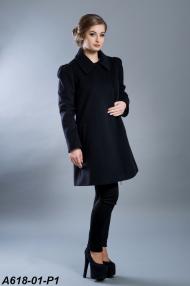 A618-01-P1.jpg