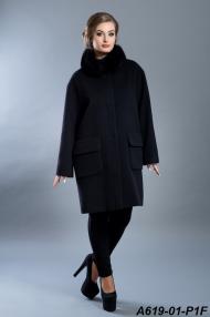 A619-01-P1F.jpg