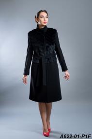 A622-01-P1F.jpg