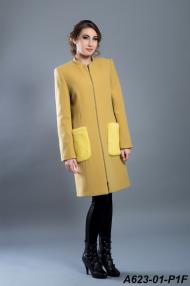 A623-01-P1F.jpg