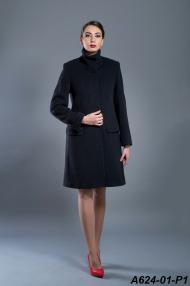 A624-01-P1.jpg