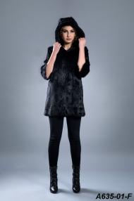 A635-01-F.jpg